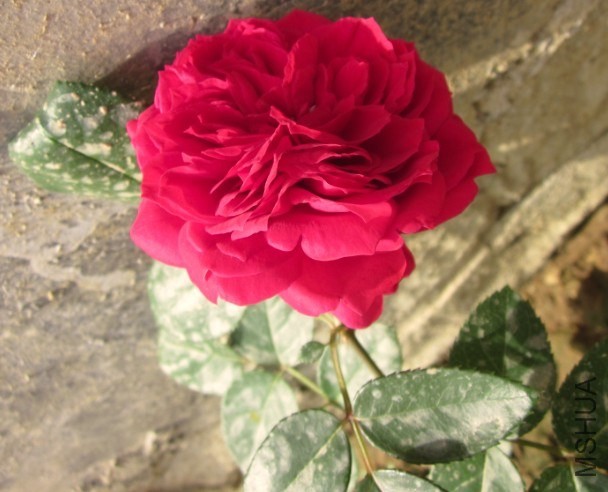 QQ��ͼ20131109164827.jpg