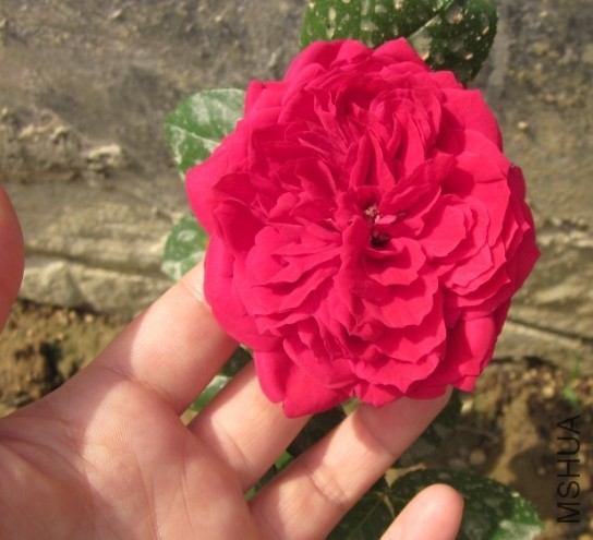 QQ��ͼ20131109164843.jpg