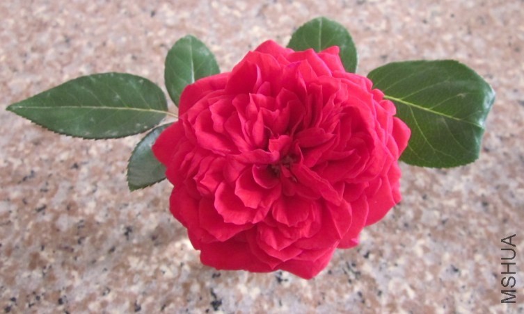 QQ��ͼ20131109164923.jpg