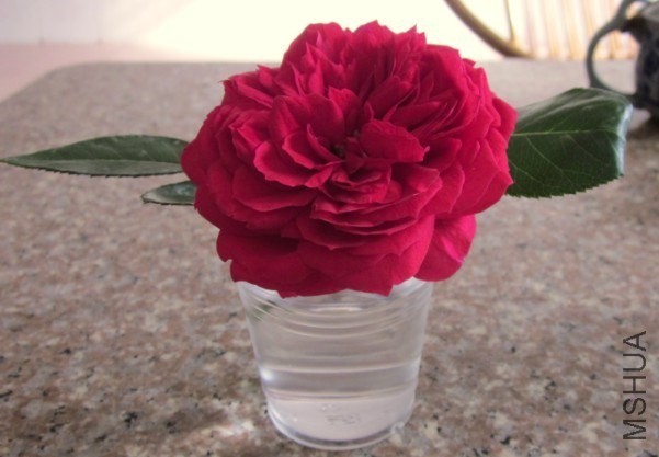 QQ��ͼ20131109164938.jpg