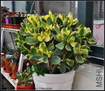 �»��½� ���.jpg