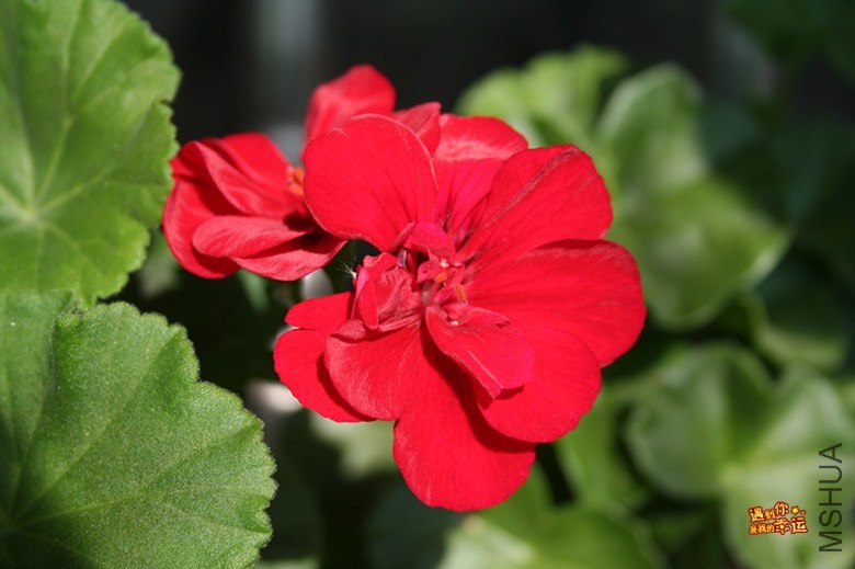 ��Ƭ 019_����.jpg