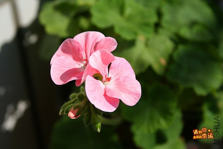 ��Ƭ 025_����.jpg