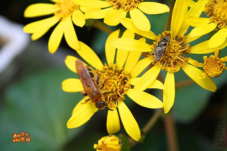 ��Ƭ 135_����.jpg