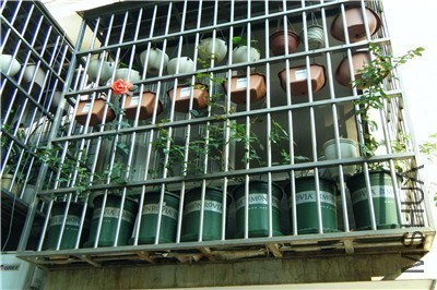 5���� �°�����