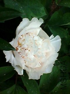 130505A136.jpg