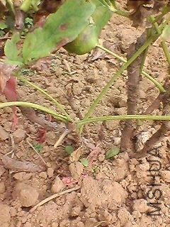 130920A282.jpg
