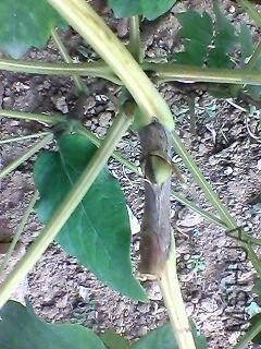 131002A308.jpg