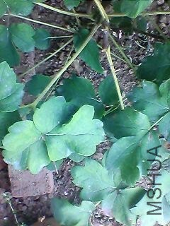 131002A309.jpg
