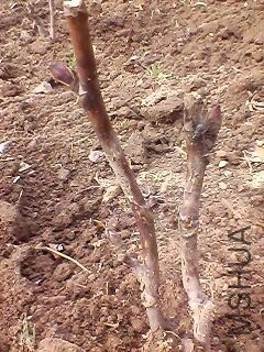 131110A373.jpg