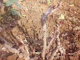 131110A375.jpg