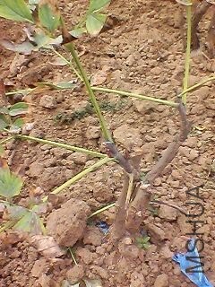 130920A277.jpg