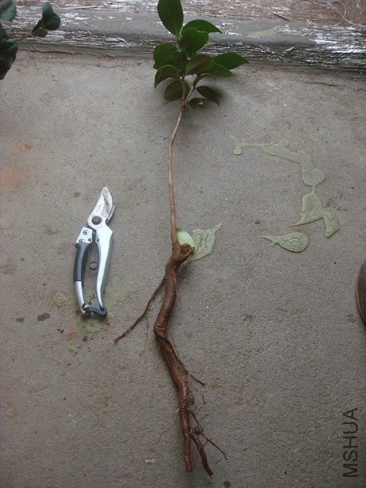 ����2��������