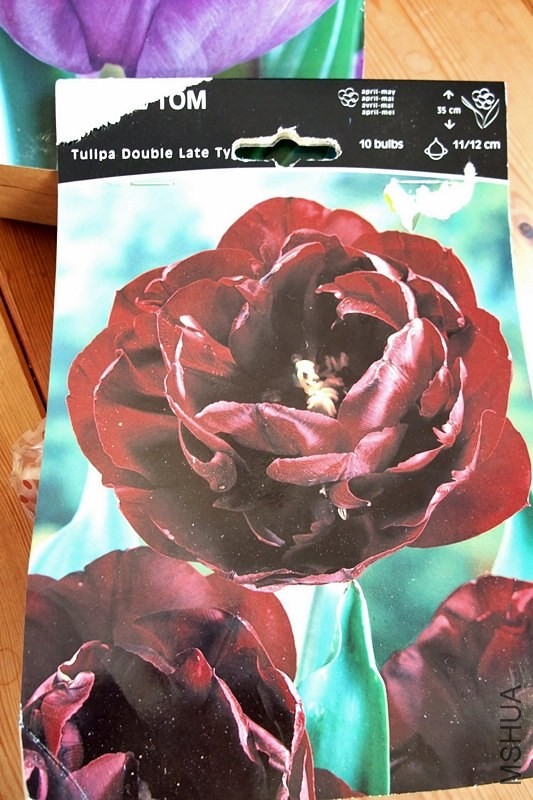 DSCF9398.JPG