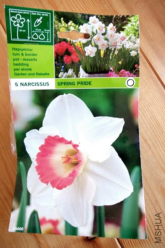 DSCF9395.JPG