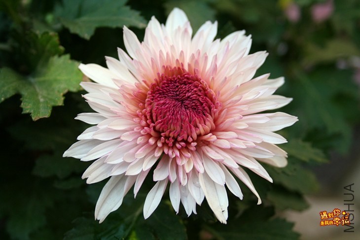 ��Ƭ 150_����.jpg