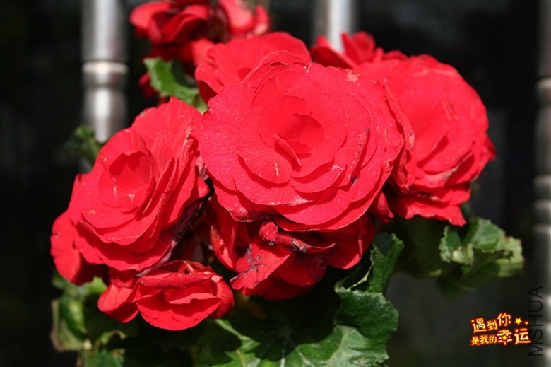 ��Ƭ 162_����.jpg