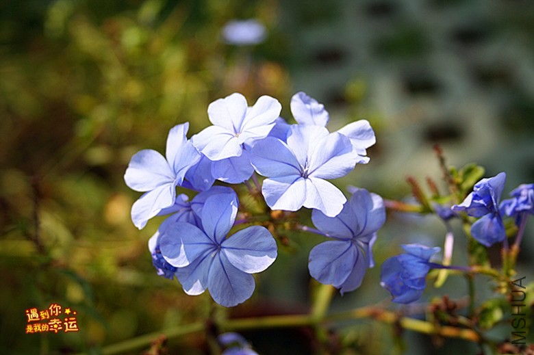 ��Ƭ 049_����.jpg