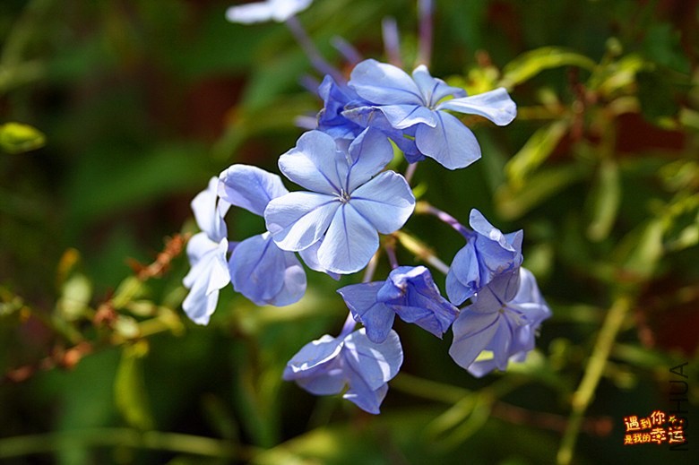 ��Ƭ 051_����.jpg