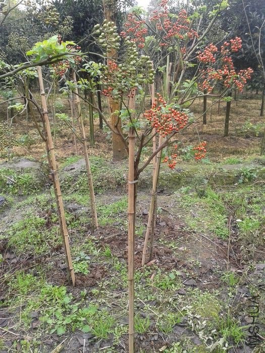 2013-11-09 11.10.11.jpg