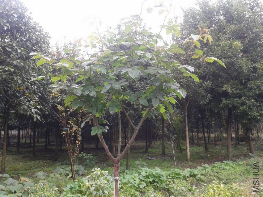 2013-11-09 11.11.37.jpg