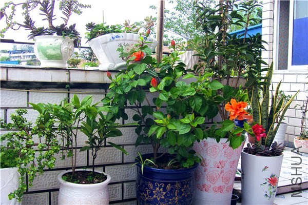 S73F0207.jpg