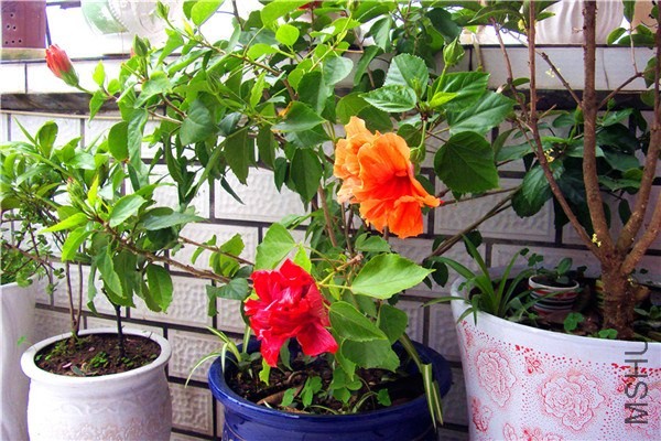 S73F0209.jpg