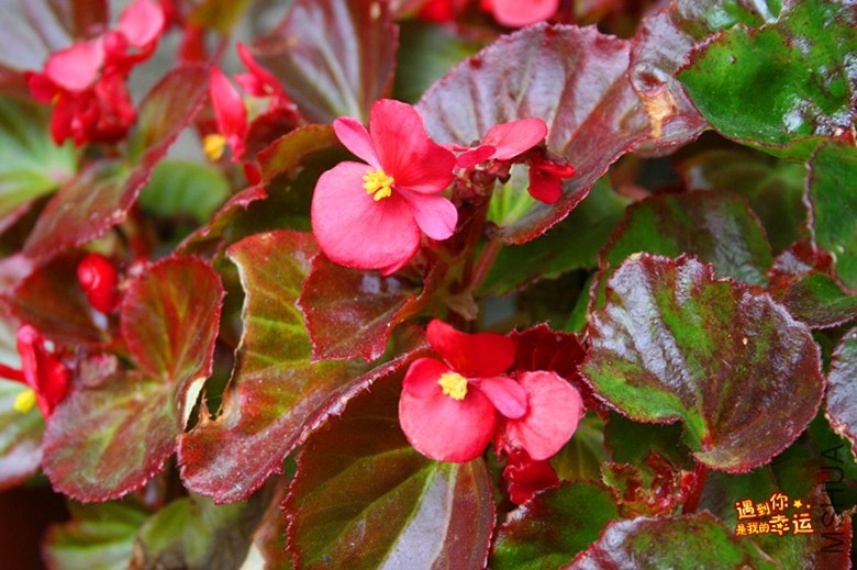 ��Ƭ 049_����.jpg