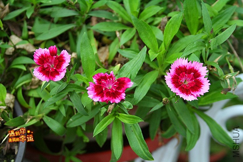 ��Ƭ 003_����.jpg