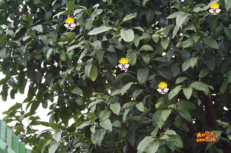 ��Ƭ 029_����.jpg