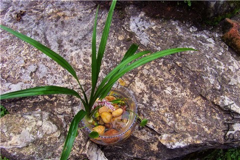 S73F0217.jpg
