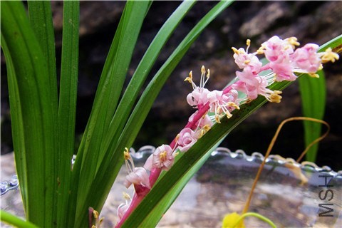 S73F0220.jpg
