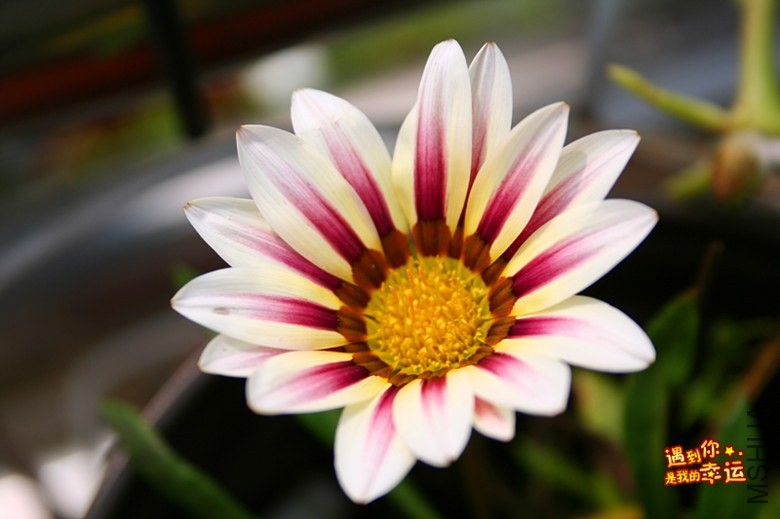 ��Ƭ 102_����.jpg