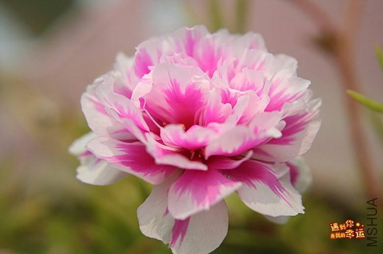 ��Ƭ 122_����.jpg