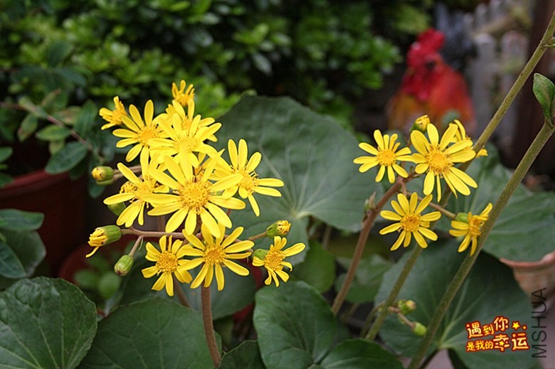 ��Ƭ 057_����.jpg