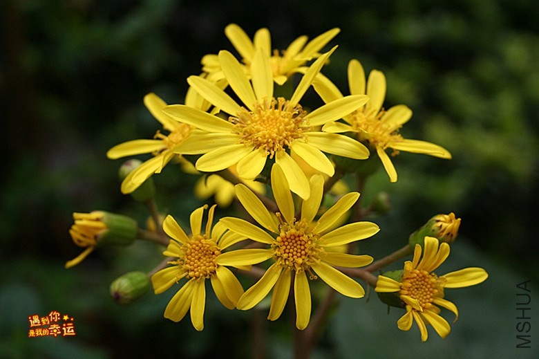 ��Ƭ 058_����.jpg