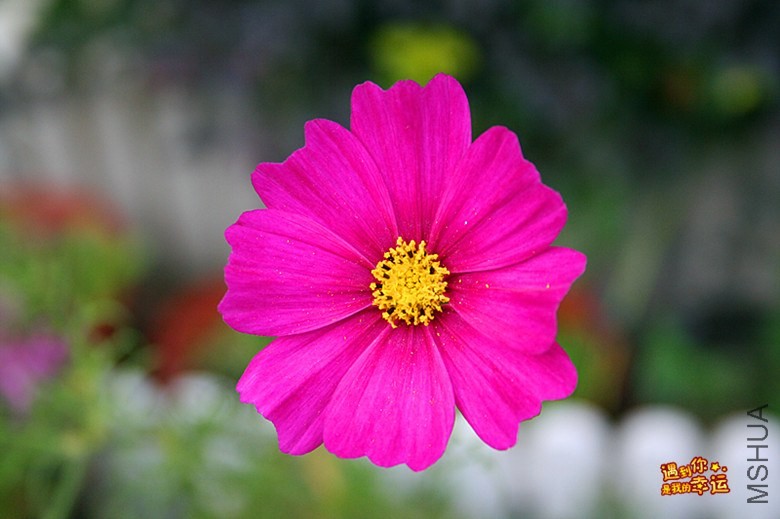 ��Ƭ 043_����.jpg