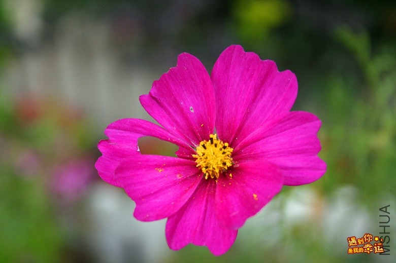 ��Ƭ 044_����.jpg