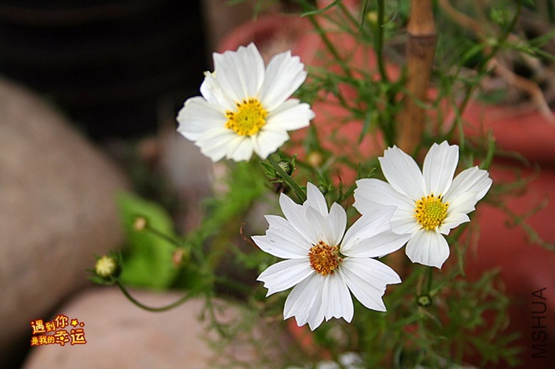 ��Ƭ 045_����.jpg