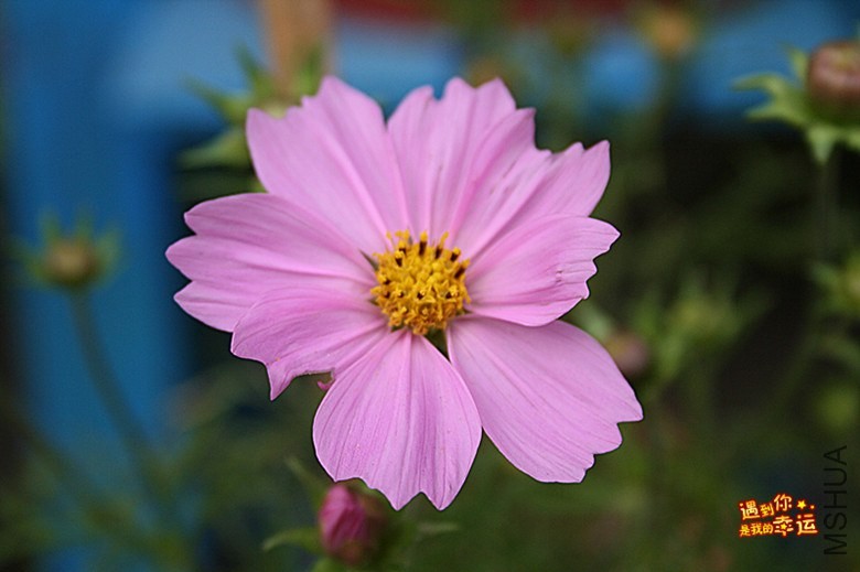 ��Ƭ 046_����.jpg