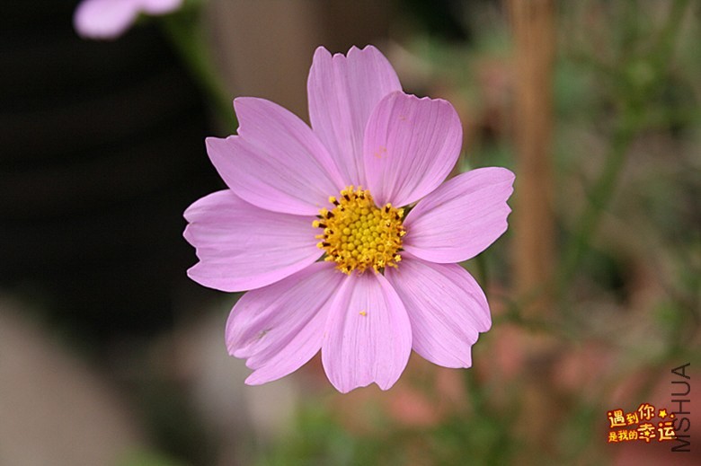 ��Ƭ 047_����.jpg