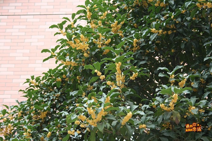 ��Ƭ 073_����.jpg