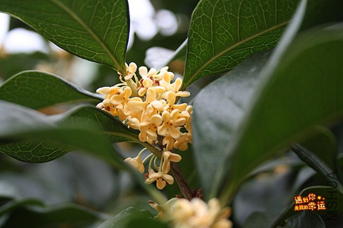 ��Ƭ 077_����.jpg