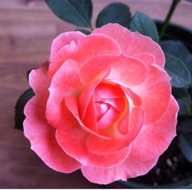 27.��¶̨131108.jpg
