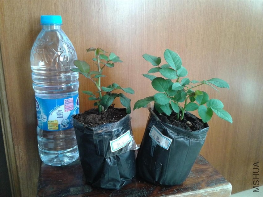 QQͼƬ20131113105735(1).JPG