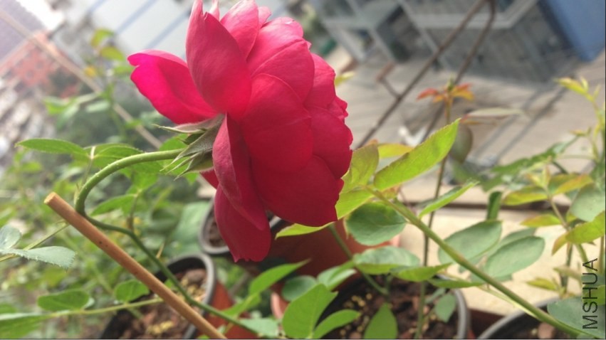 QQͼƬ20131114102536.jpg
