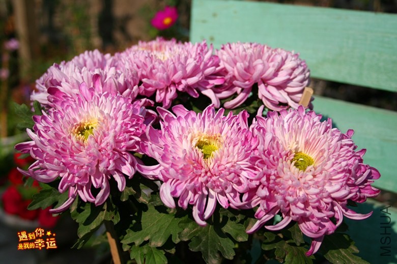 ��Ƭ 003_����.jpg