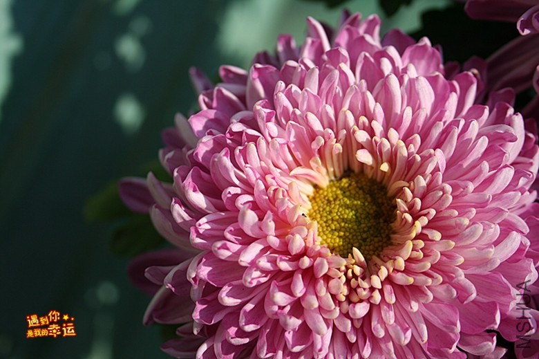 ��Ƭ 005_����.jpg