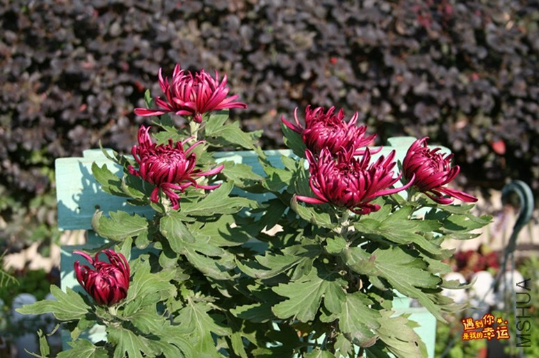 ��Ƭ 018_����.jpg