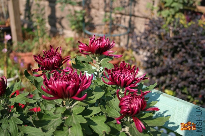 ��Ƭ 020_����.jpg